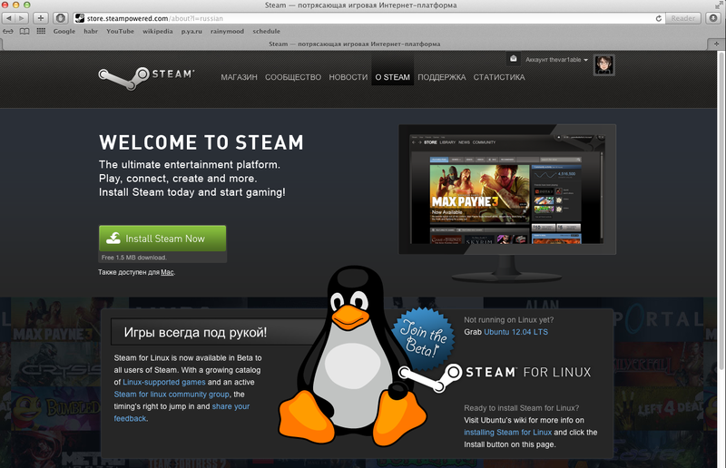 Steam для Linux под Windows